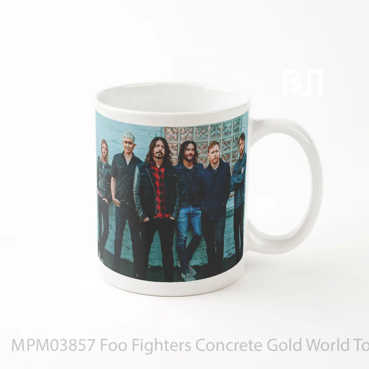Mug Foo Fighters Concrete Gold World Tour Band Poste 1 MPM03857