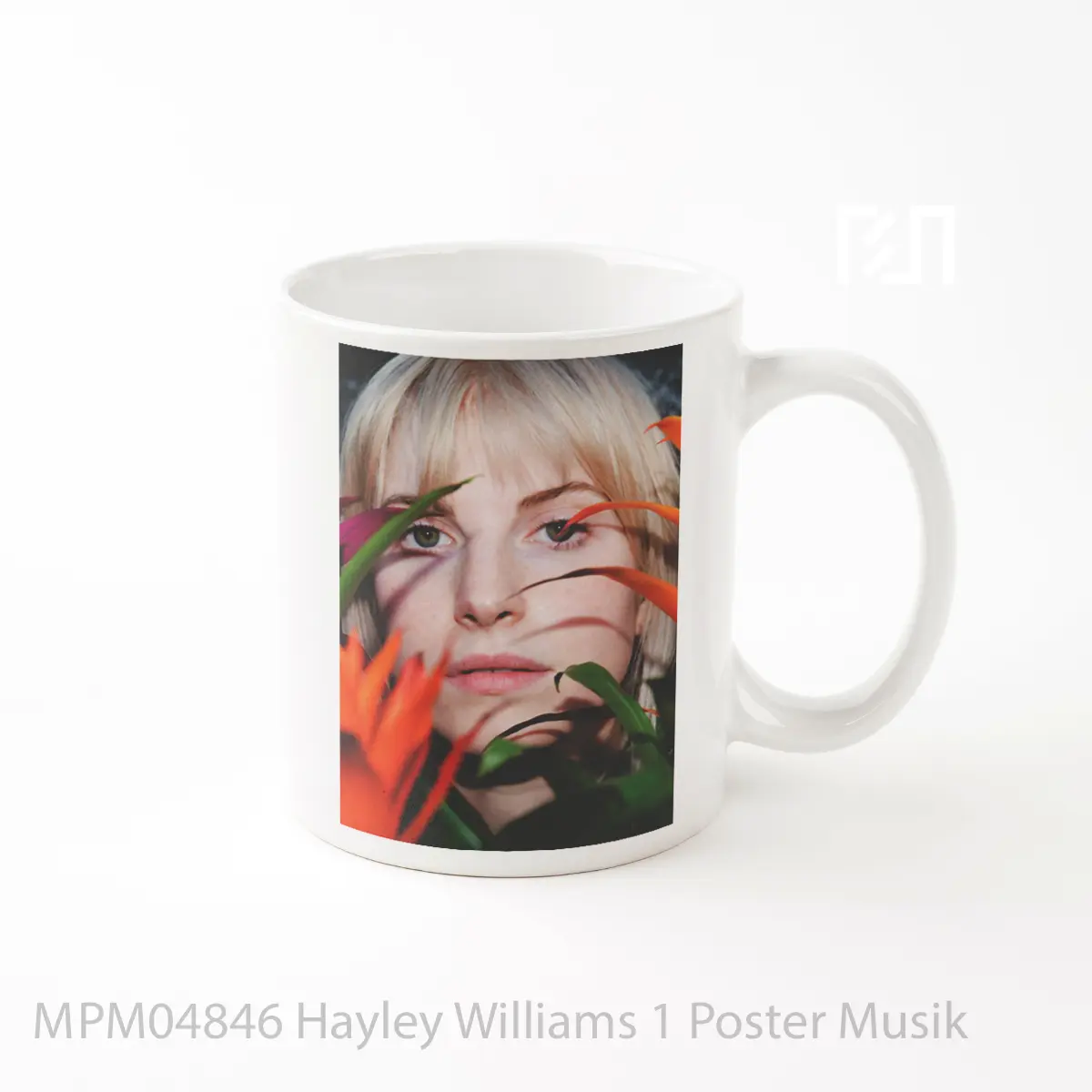 Mug Hayley Williams 1 MPM04846