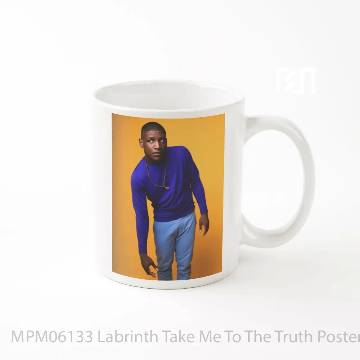 Mug Labrinth Take Me To The Truth MPM06133