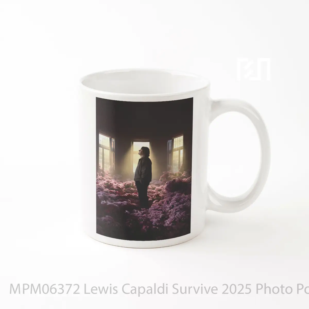 Mug Lewis Capaldi Survive 2025 Photo MPM06372