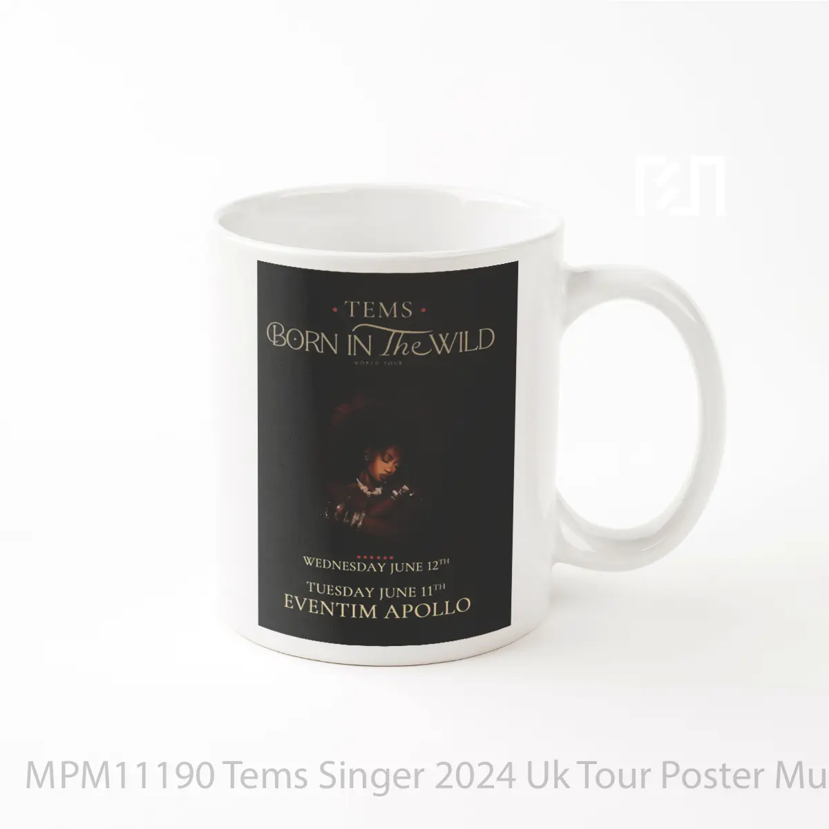 Mug Tems Singer 2024 Uk Tour MPM11190