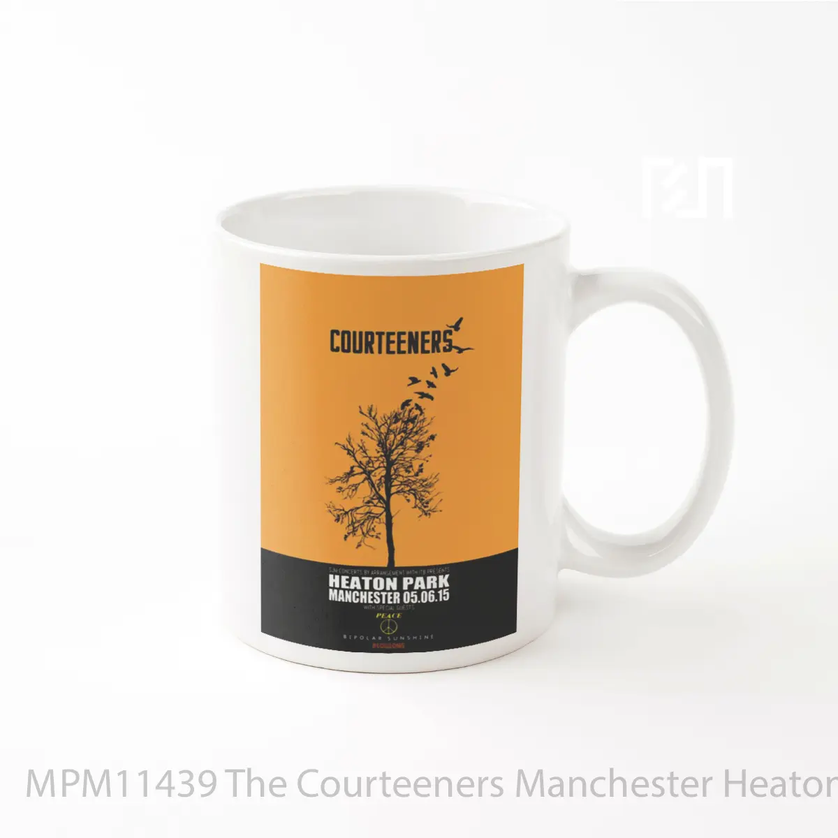 Mug The Courteeners Manchester Heaton Park June 5 2015 MPM11439