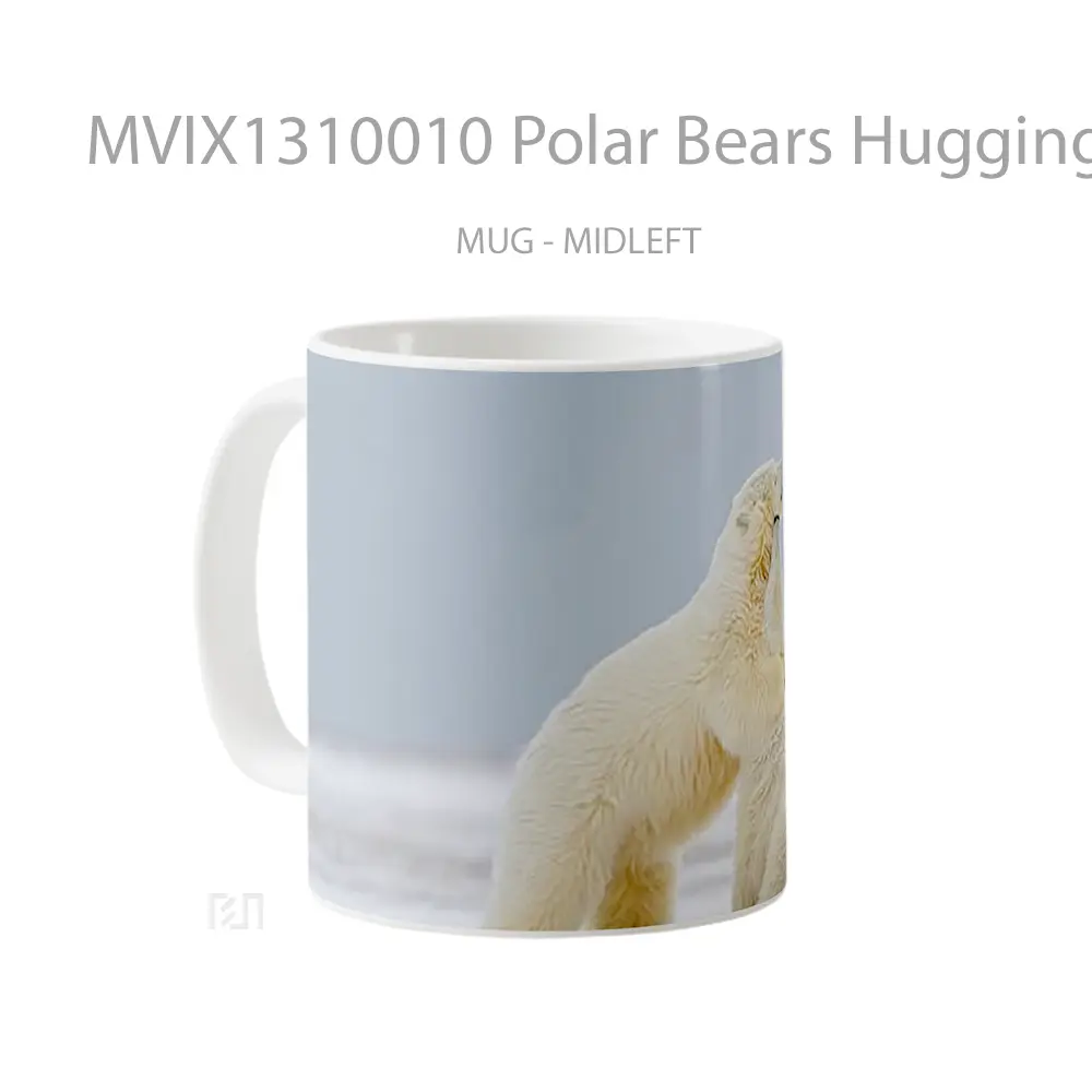Mug Polar Bears Hugging Gelas Hewan Lucu - All-side / Desain