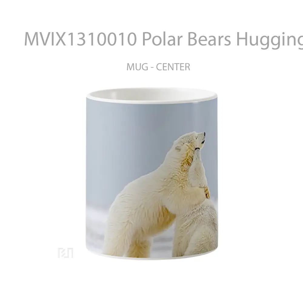 Mug Polar Bears Hugging Gelas Hewan Lucu
