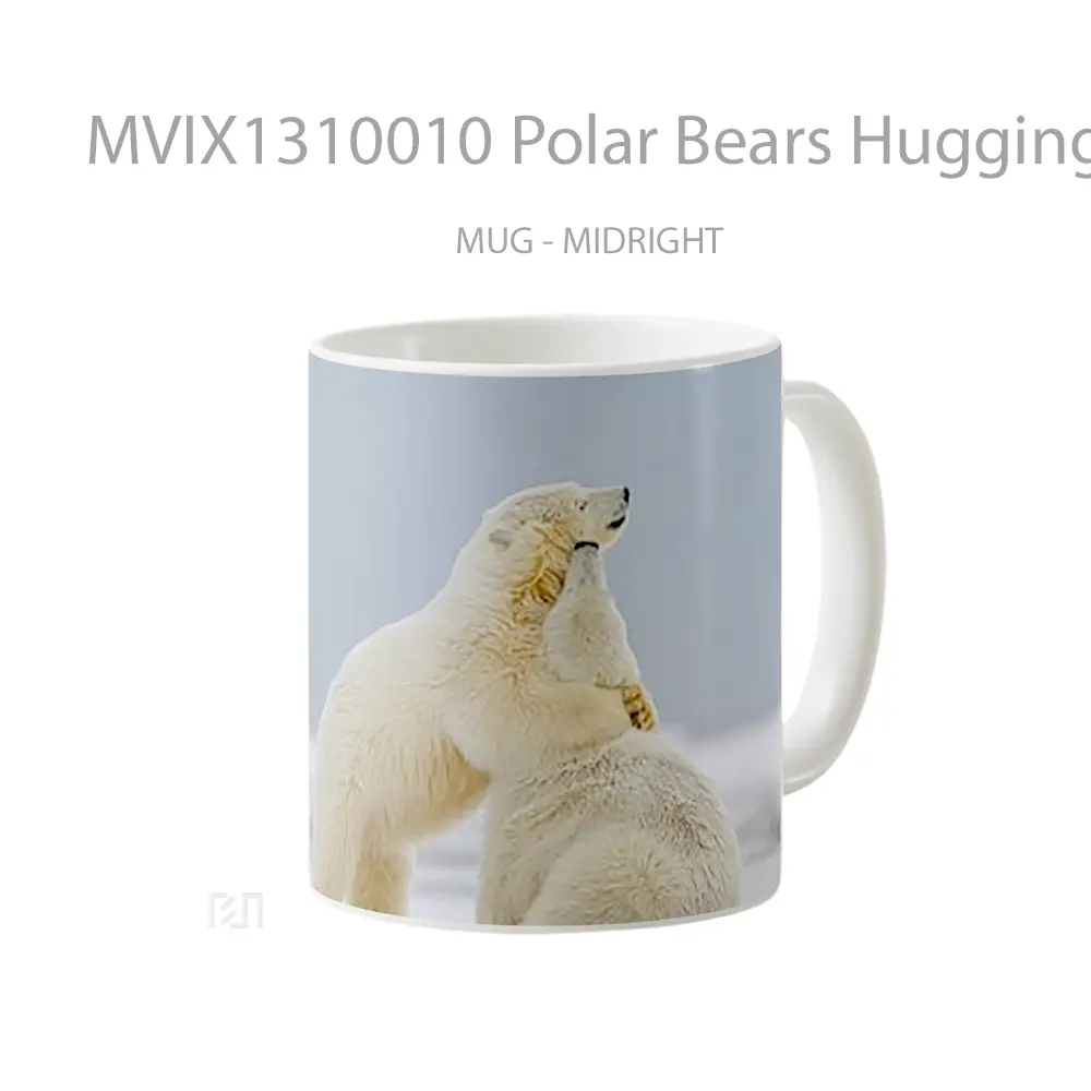 Mug Polar Bears Hugging Gelas Hewan Lucu - All-side / Desain