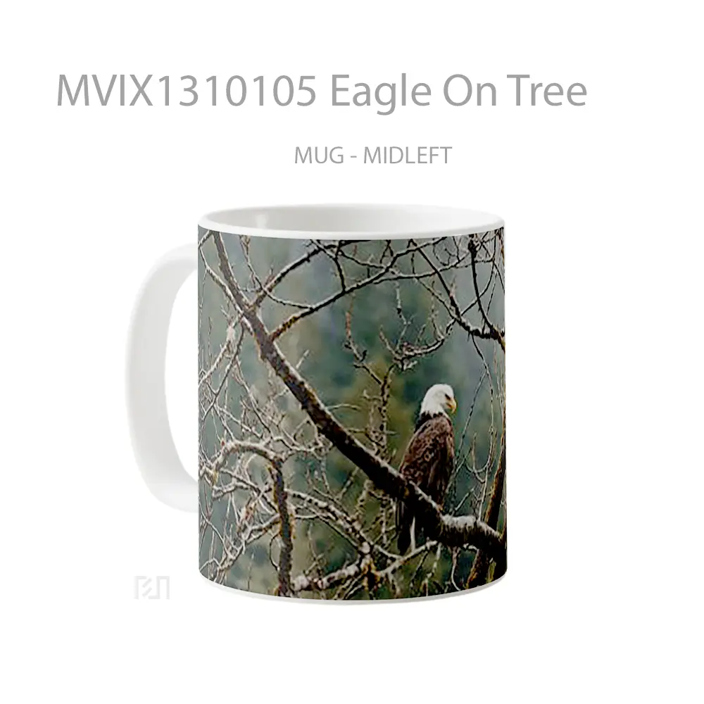 Mug Eagle On Tree Gelas Hewan Lucu - All-side / Desain