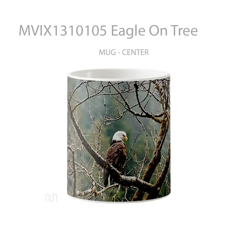 Mug Eagle On Tree Gelas Hewan Lucu