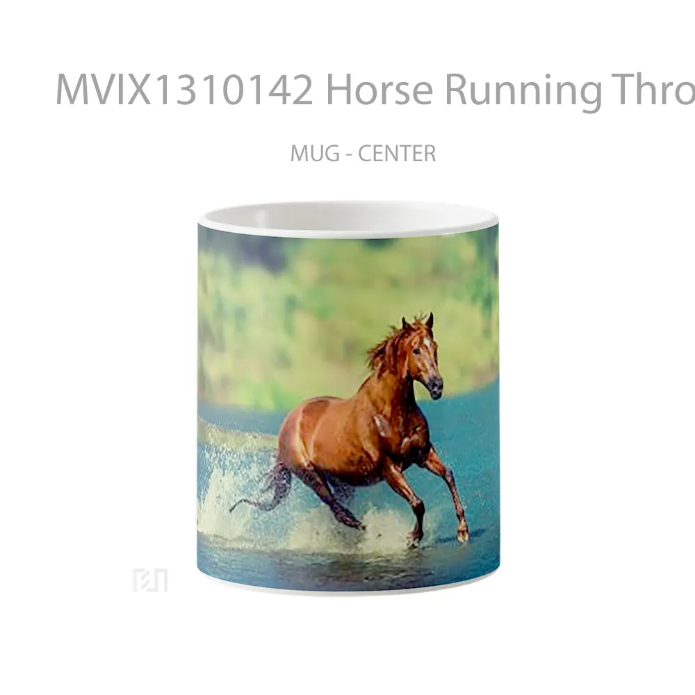 Mug Horse Running Through Water Gelas Hewan Lucu