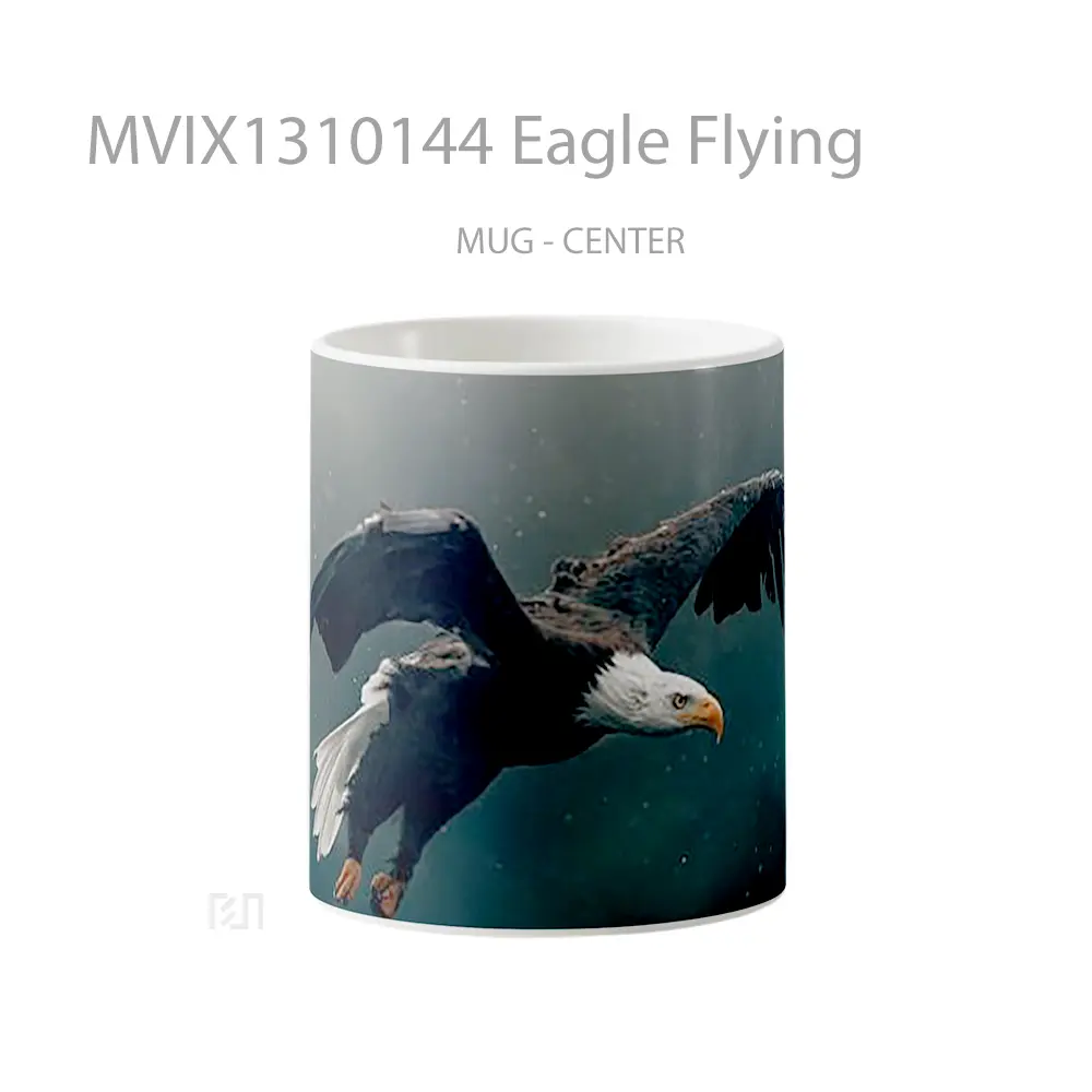 Mug Eagle Flying Gelas Hewan Lucu