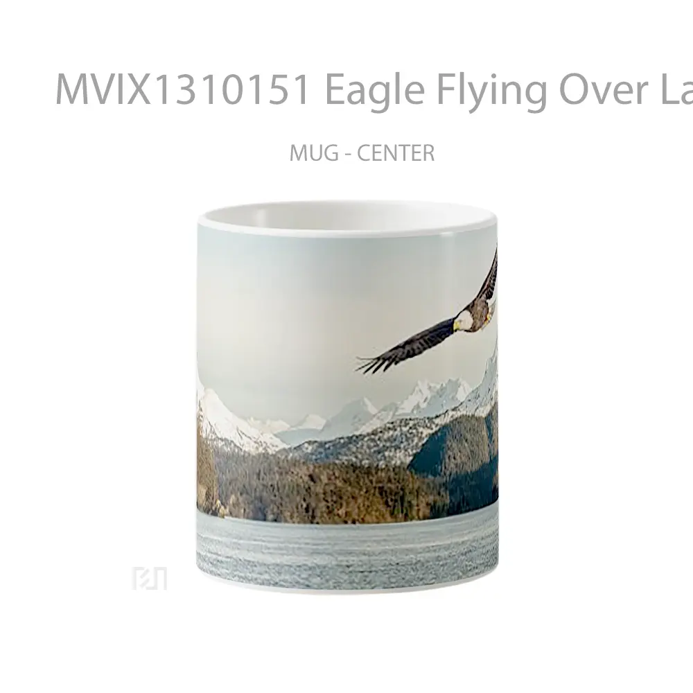Mug Eagle Flying Over Lake Gelas Hewan Lucu