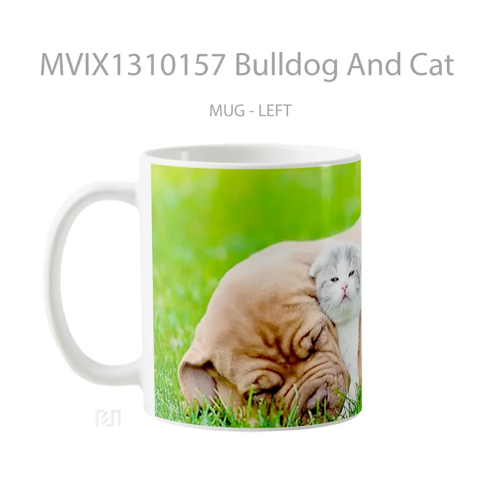 Mug Bulldog And Cat Gelas Hewan Lucu - All-side / Desain