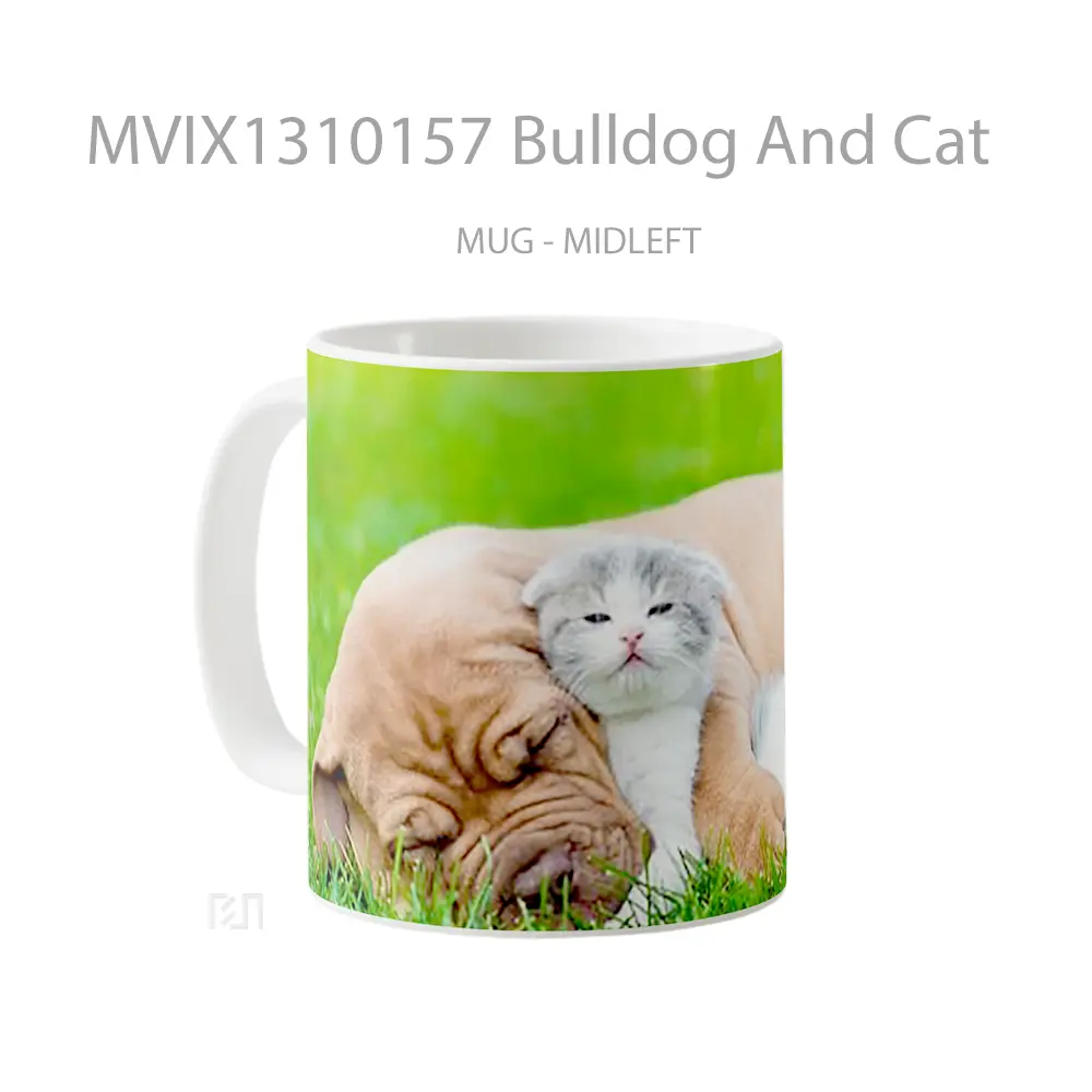 Mug Bulldog And Cat Gelas Hewan Lucu - All-side / Desain