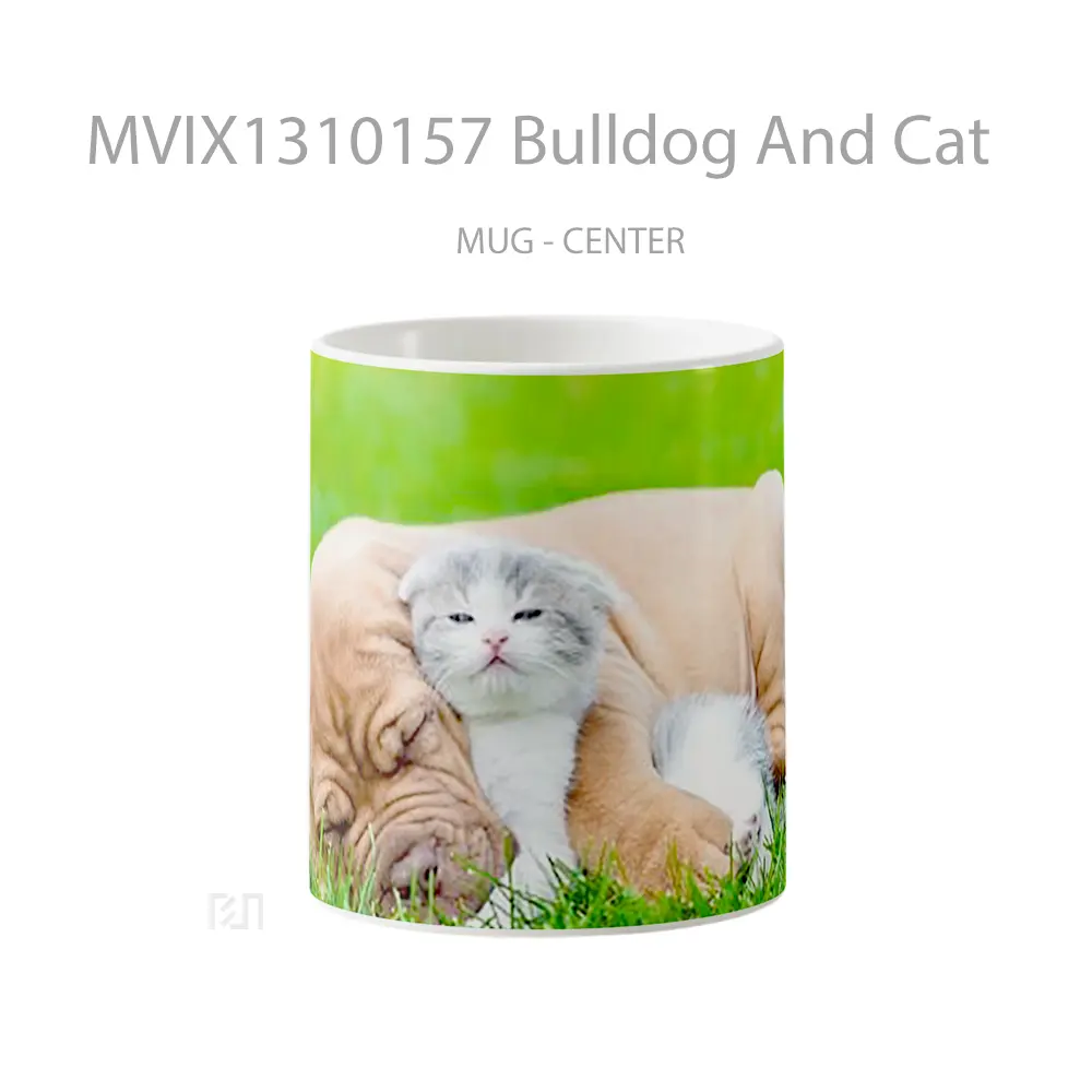 Mug Bulldog And Cat Gelas Hewan Lucu