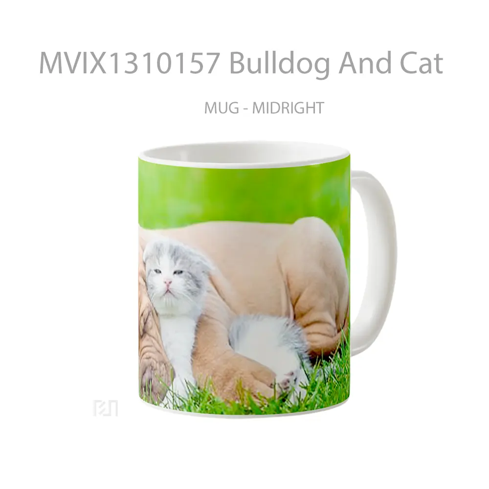Mug Bulldog And Cat Gelas Hewan Lucu - All-side / Desain