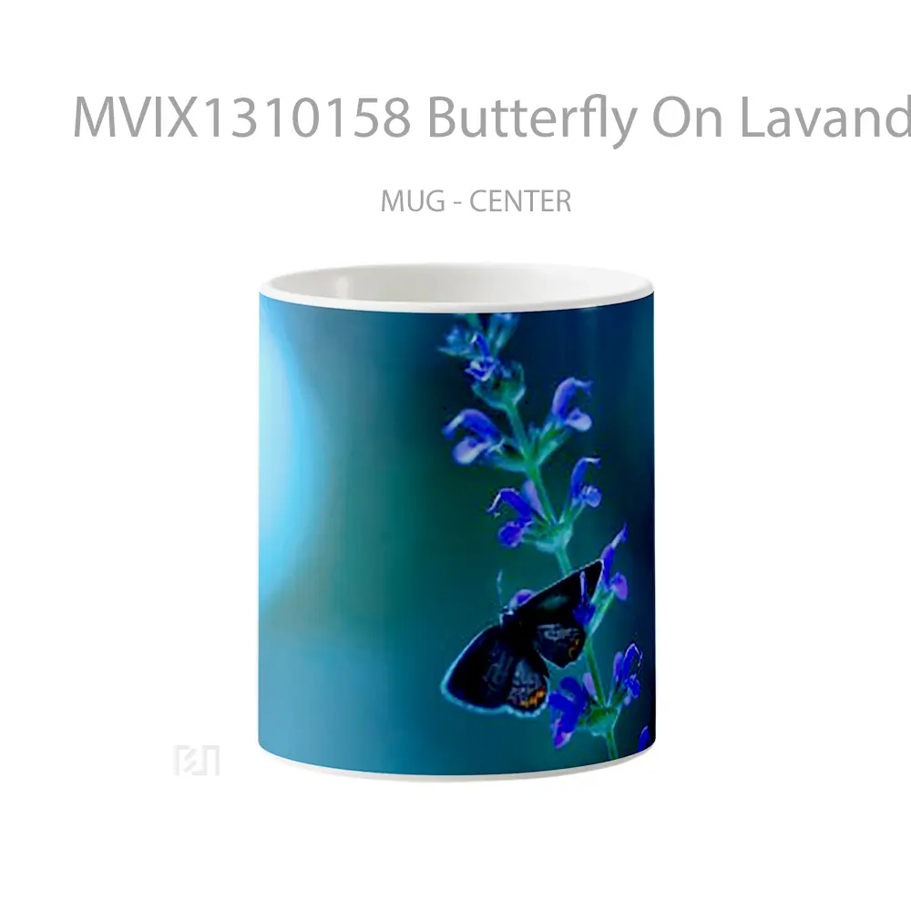 Mug Butterfly On Lavander Gelas Hewan Lucu