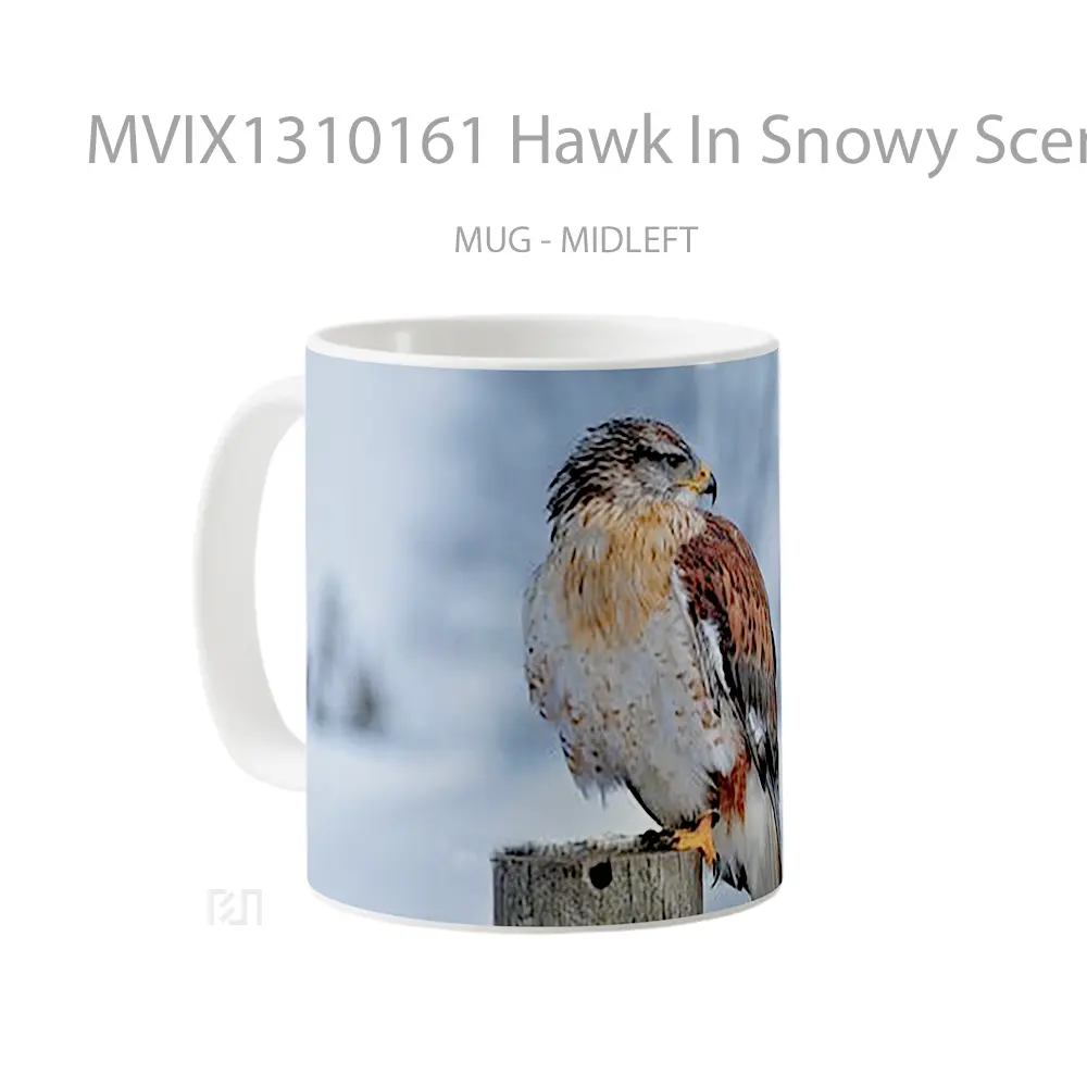 Mug Hawk In Snowy Scenery Gelas Hewan Lucu - All-side / Desain