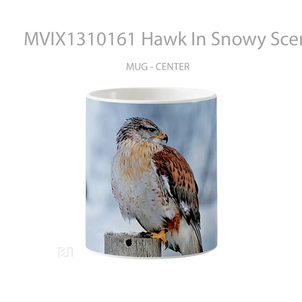 Mug Hawk In Snowy Scenery Gelas Hewan Lucu
