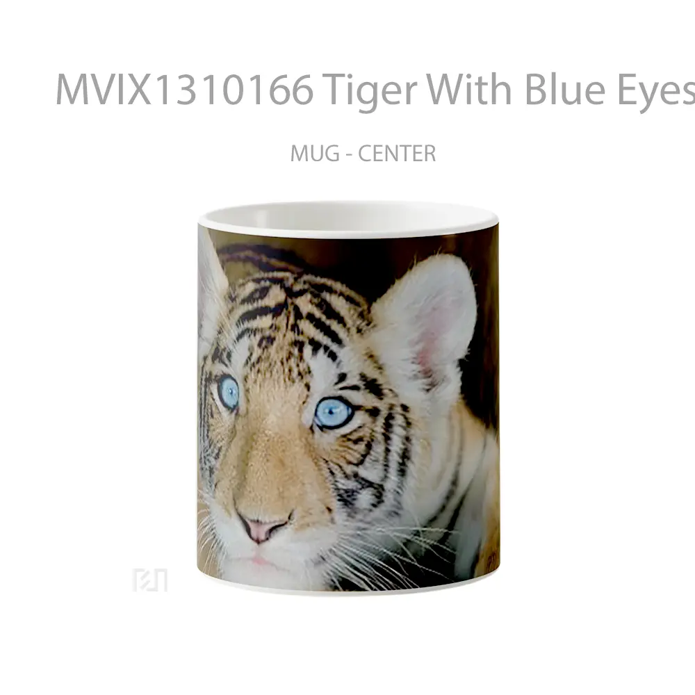 Mug Tiger With Blue Eyes Gelas Hewan Lucu