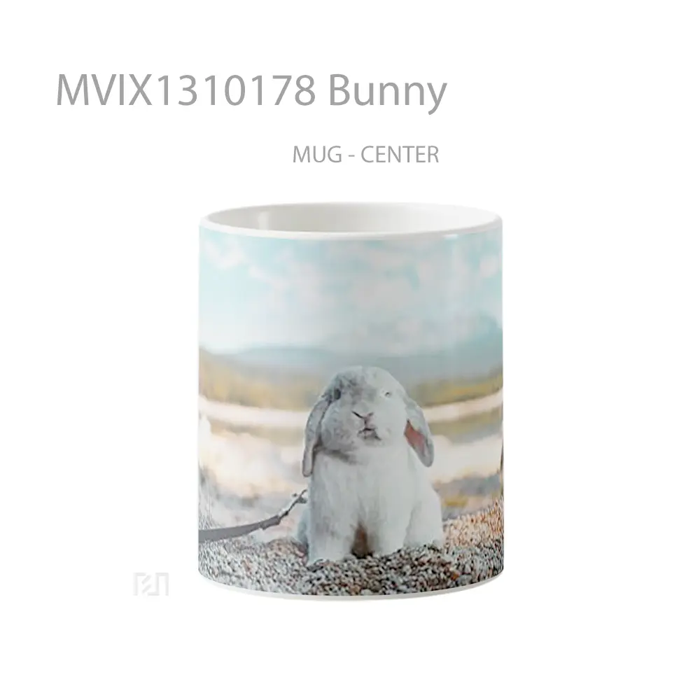 Mug Bunny Gelas Hewan Lucu