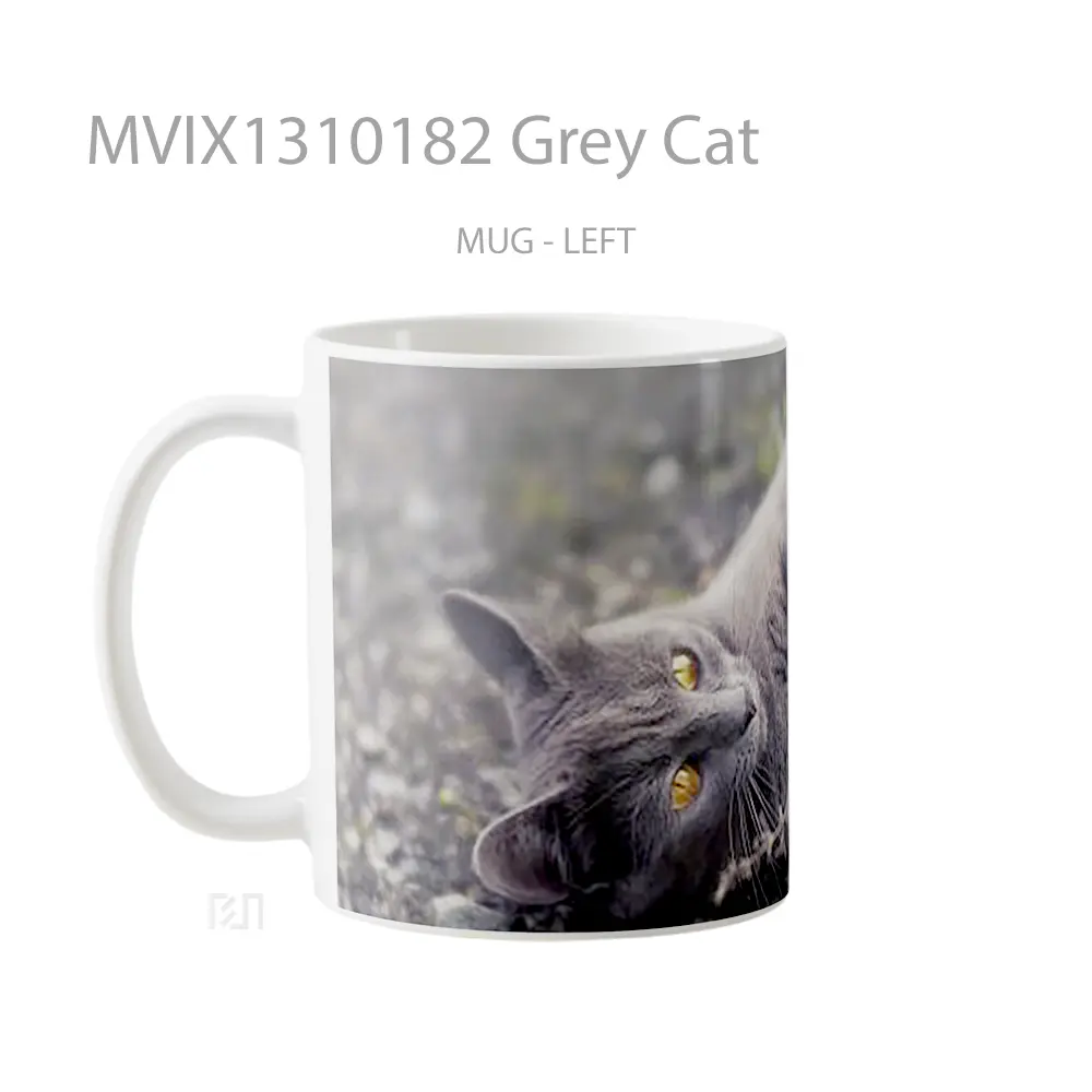 Mug Grey Cat Gelas Hewan Lucu - All-side / Desain