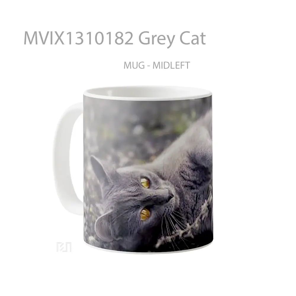 Mug Grey Cat Gelas Hewan Lucu - All-side / Desain
