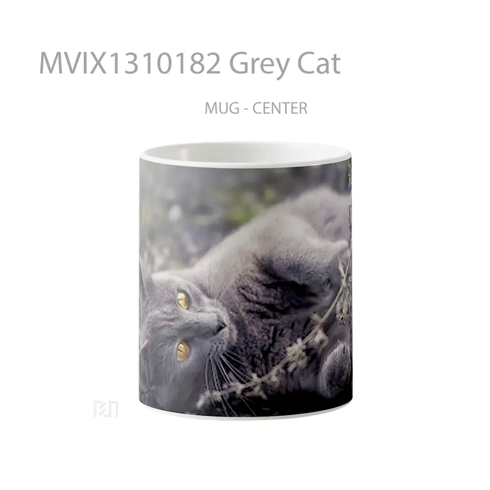 Mug Grey Cat Gelas Hewan Lucu