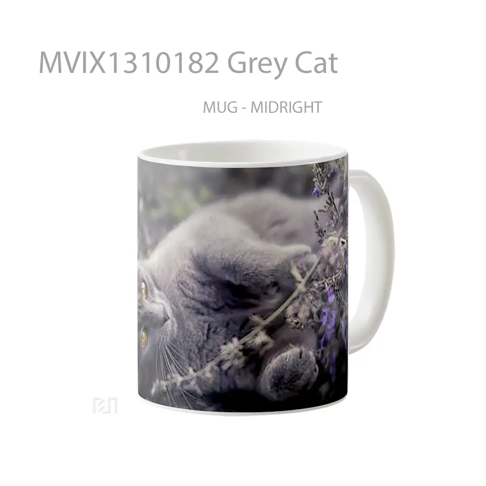 Mug Grey Cat Gelas Hewan Lucu - All-side / Desain