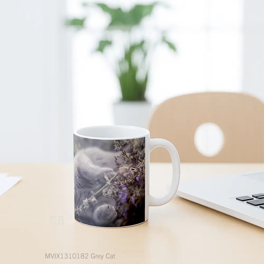 Mug Grey Cat Gelas Hewan Lucu - All-side / Desain