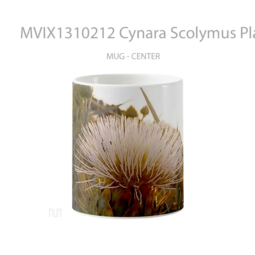 Mug Cynara Scolymus Plant Gelas Keramik Unik