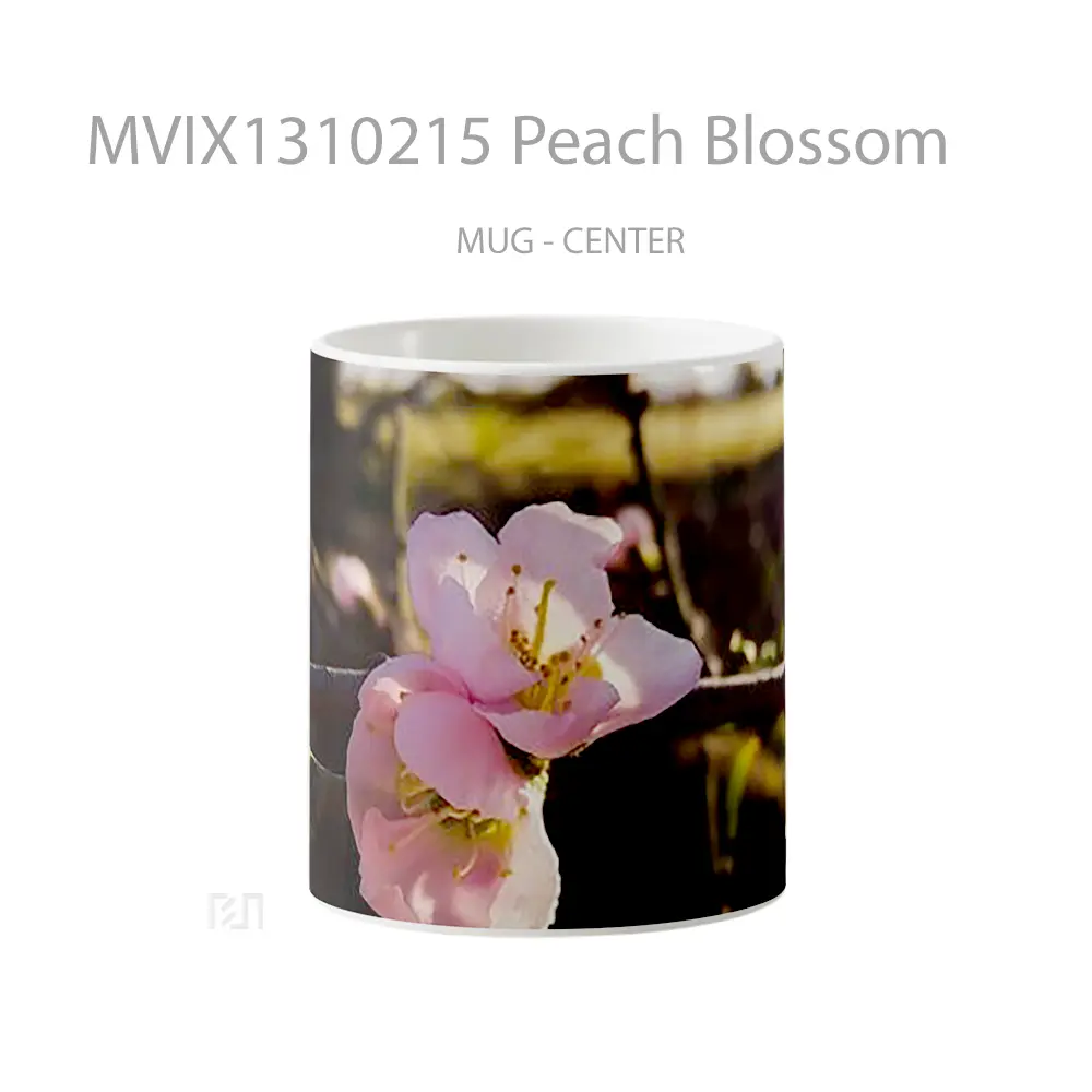 Mug Peach Blossom Gelas Keramik Unik