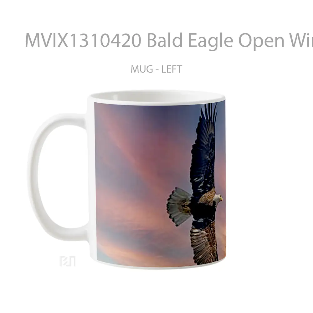 Mug Bald Eagle Open Wings Gelas Hewan Lucu - All-side / Desain
