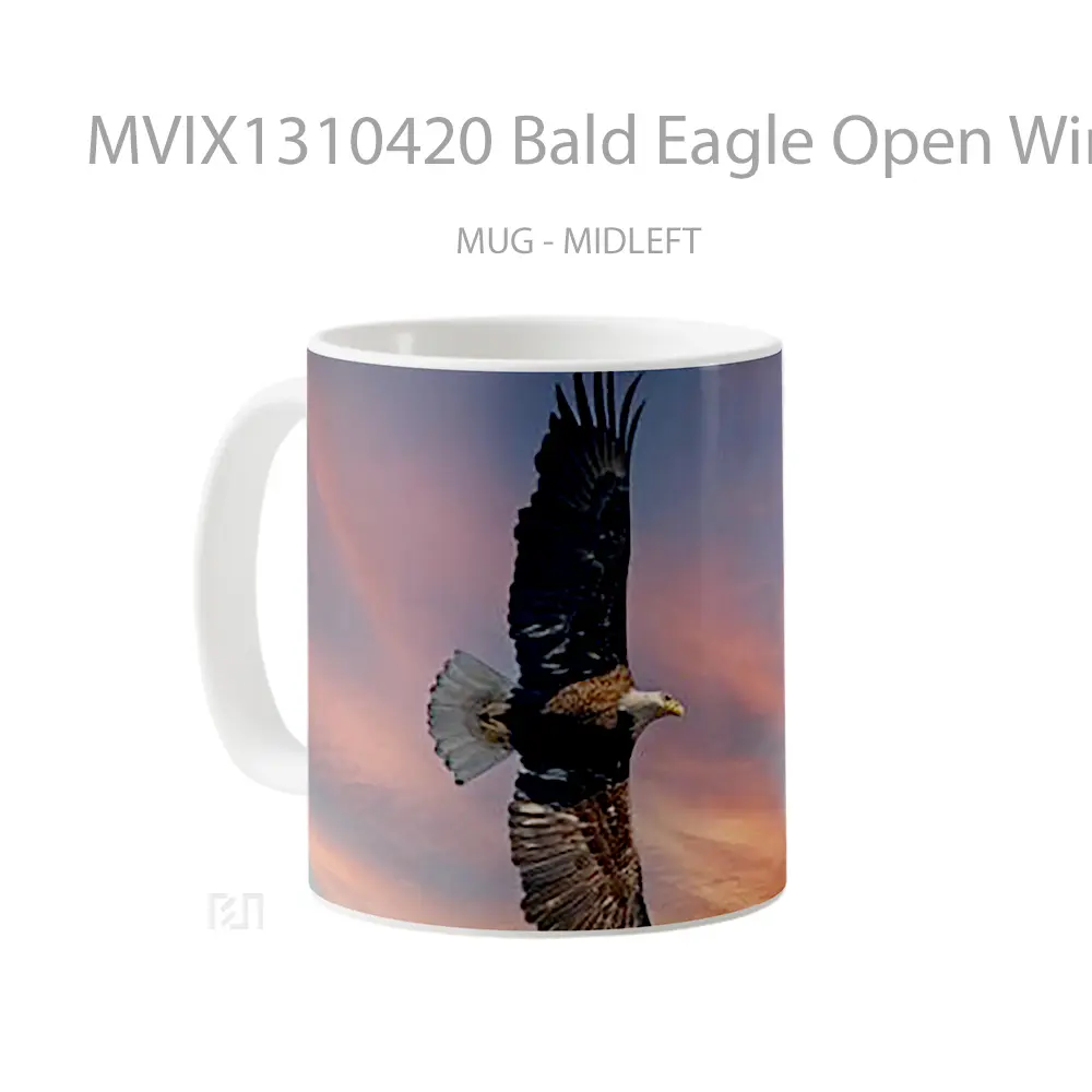Mug Bald Eagle Open Wings Gelas Hewan Lucu - All-side / Desain