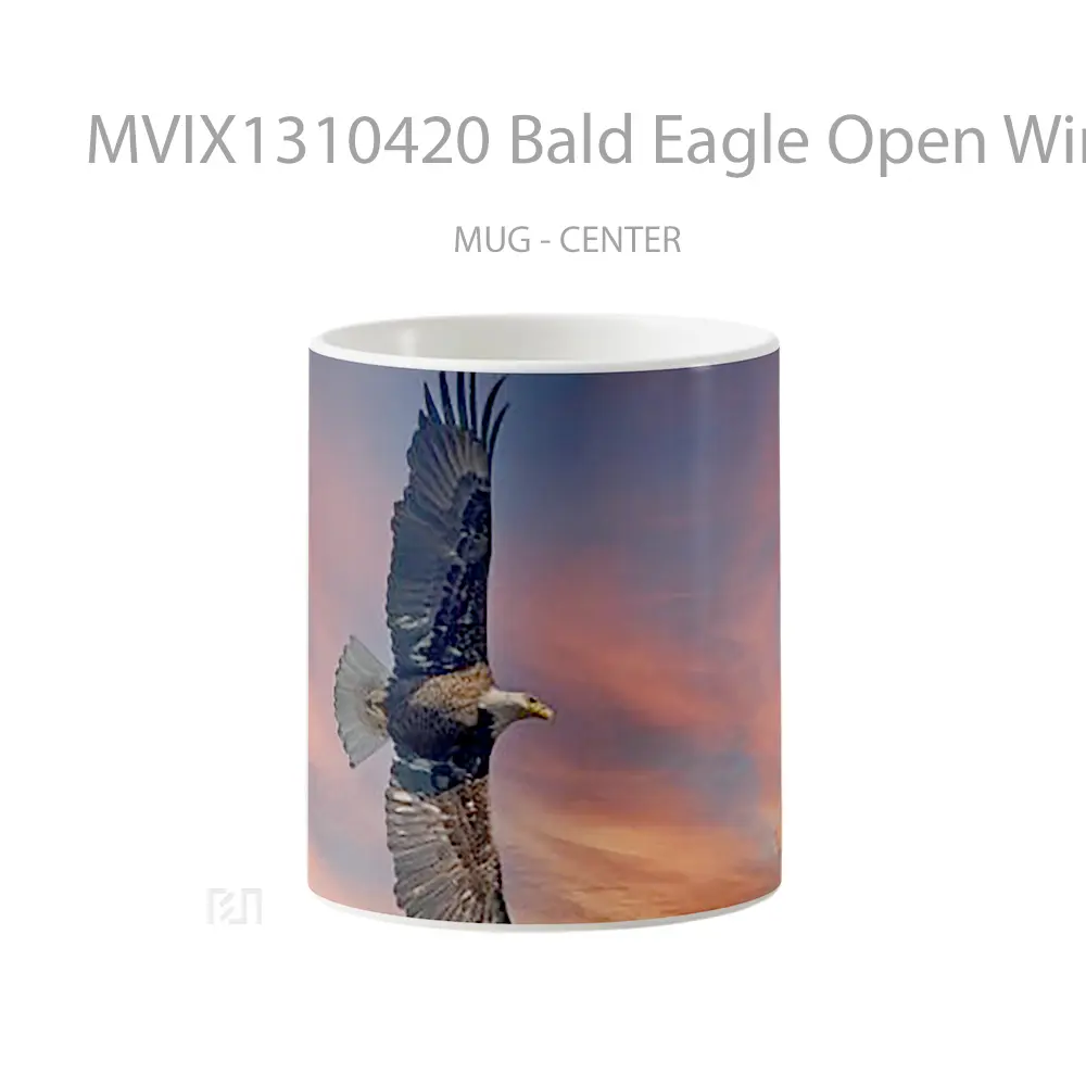Mug Bald Eagle Open Wings Gelas Hewan Lucu