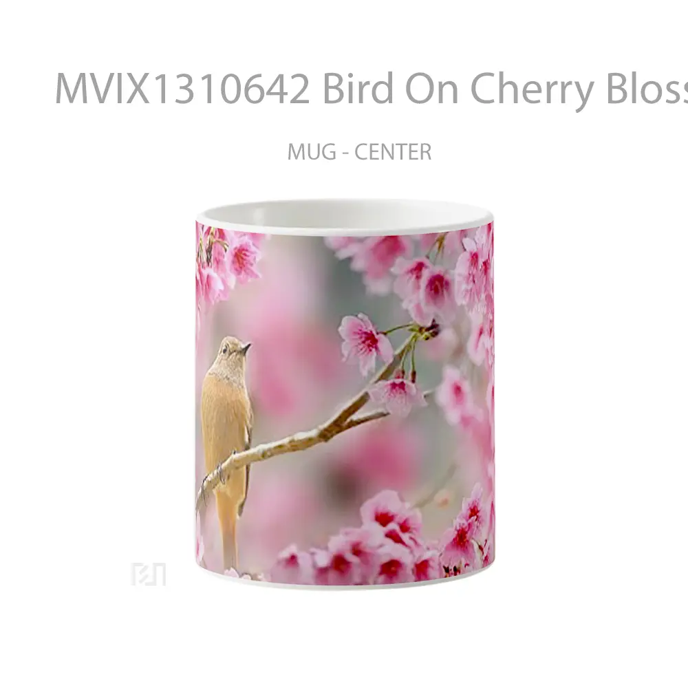 Mug Bird On Cherry Blosson Tree Gelas Hewan Lucu