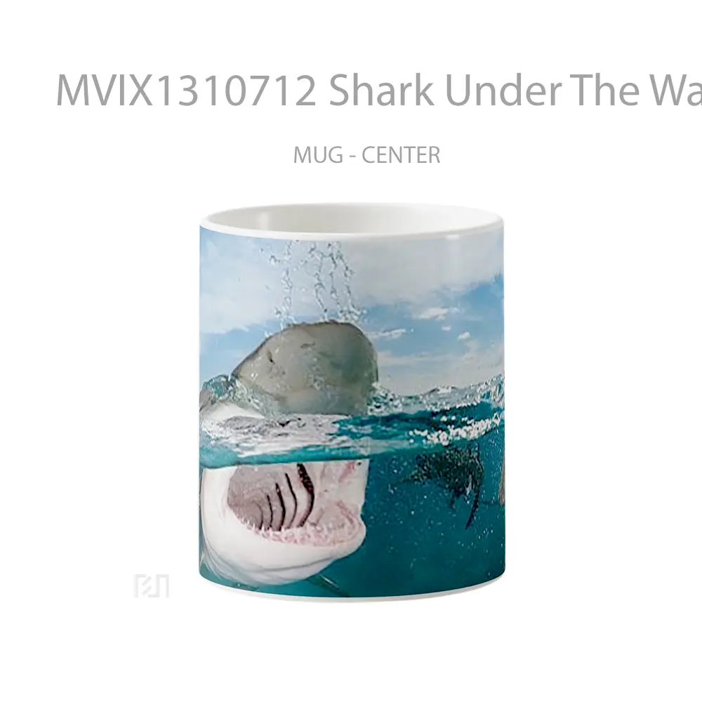 Mug Shark Under The Water Gelas Hewan Lucu