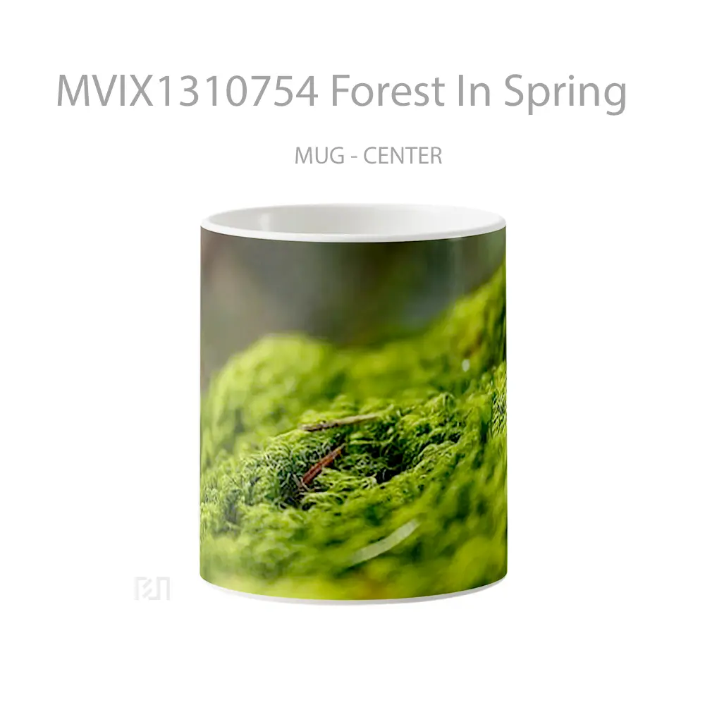 Mug Forest In Spring Gelas Pemandangan Alam