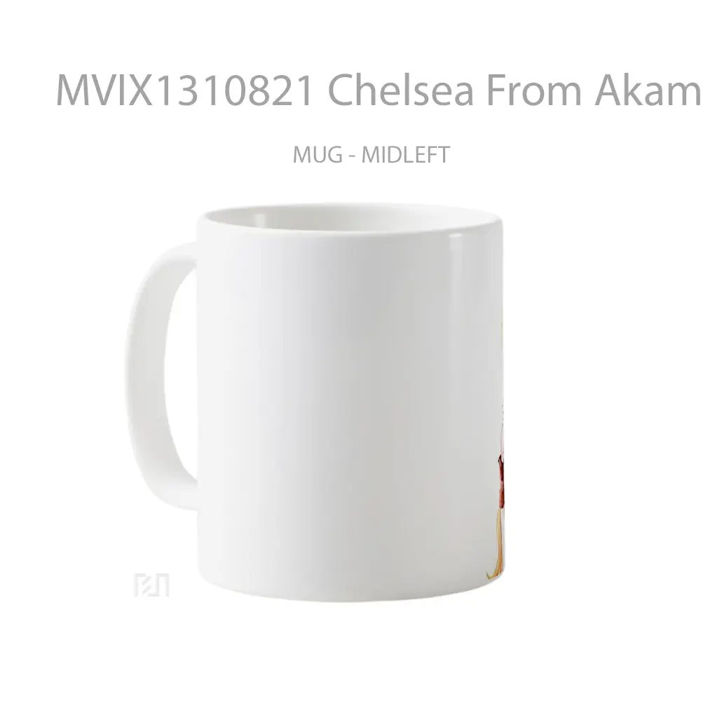 Mug Chelsea From Akame Ga Kill Fanart Gelas Keramik Unik - All-side / Desain