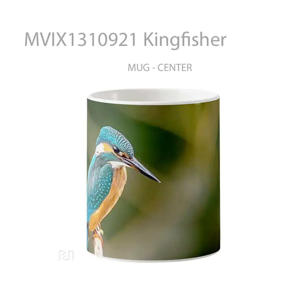 Mug Kingfisher Gelas Keramik Unik