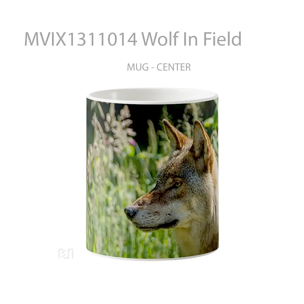 Mug Wolf In Field Gelas Hewan Lucu