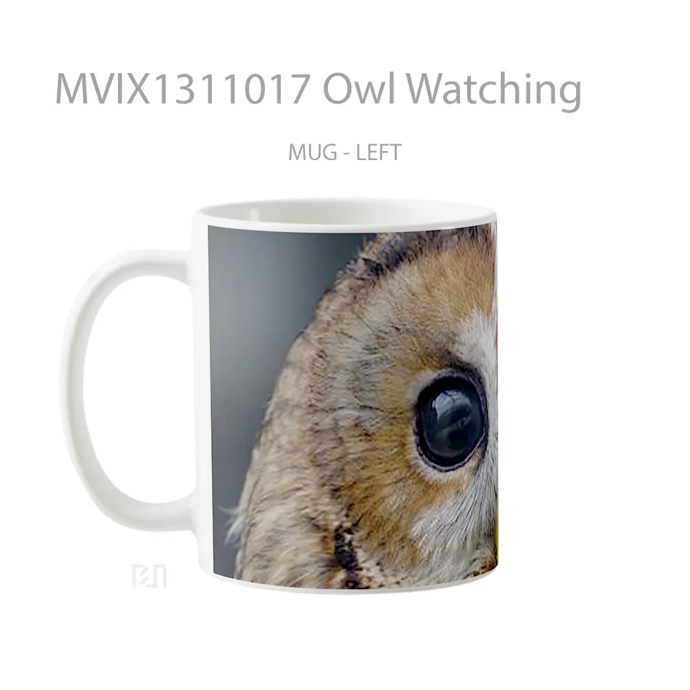 Mug Owl Watching Gelas Hewan Lucu - All-side / Desain