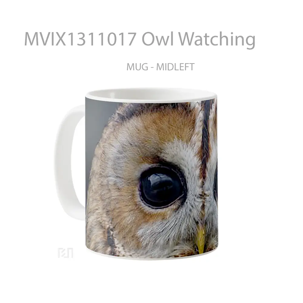 Mug Owl Watching Gelas Hewan Lucu - All-side / Desain