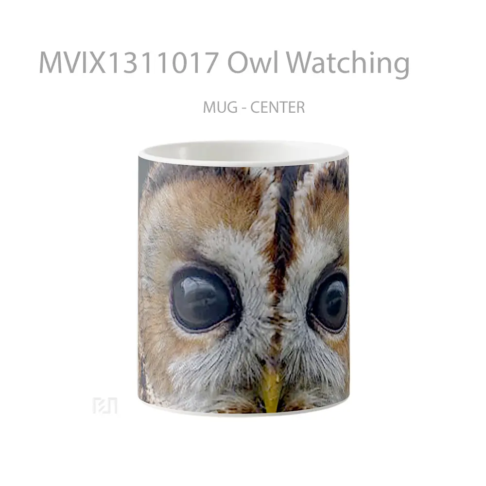 Mug Owl Watching Gelas Hewan Lucu
