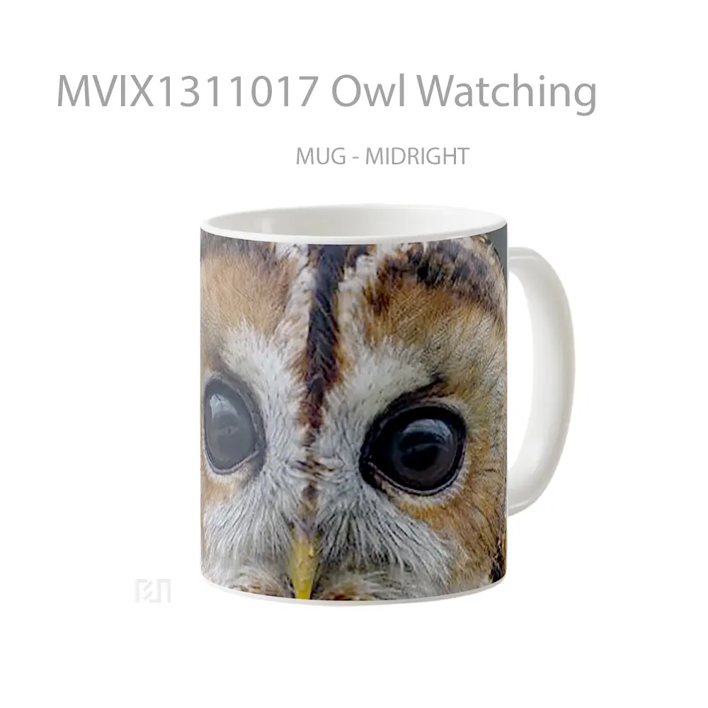 Mug Owl Watching Gelas Hewan Lucu - All-side / Desain