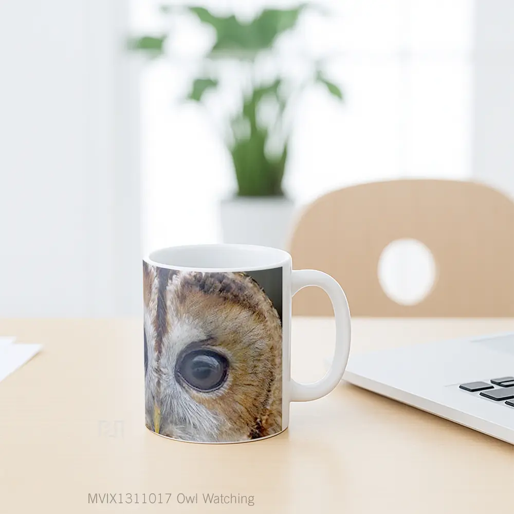 Mug Owl Watching Gelas Hewan Lucu - All-side / Desain