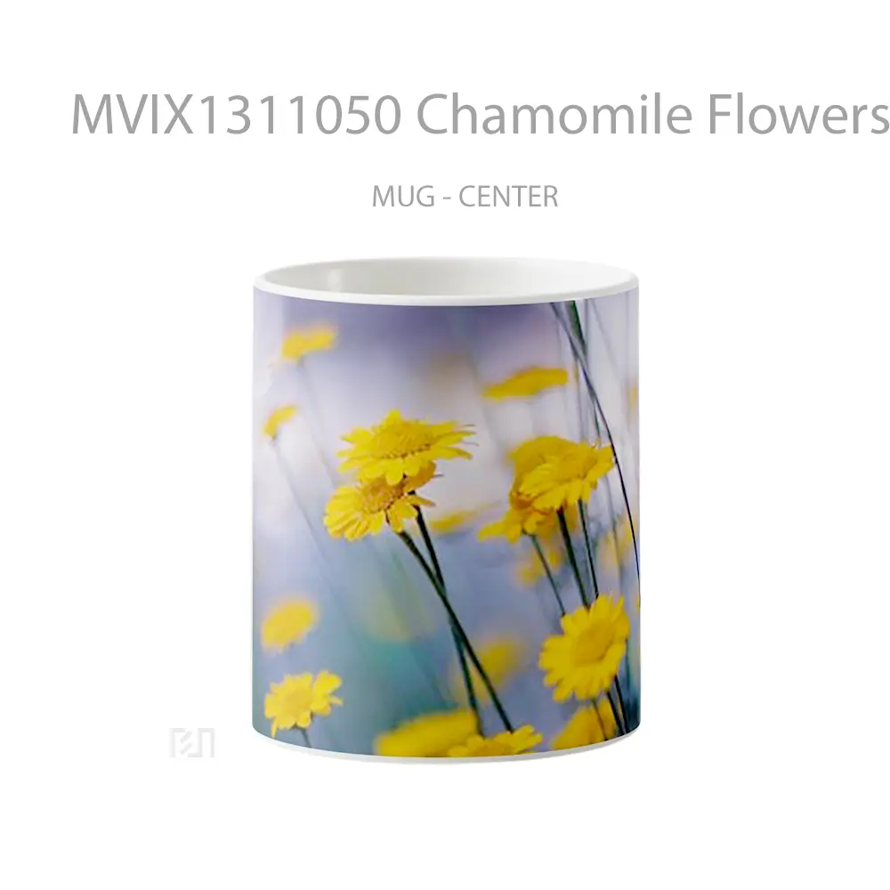 Mug Chamomile Flowers Gelas Pemandangan Alam