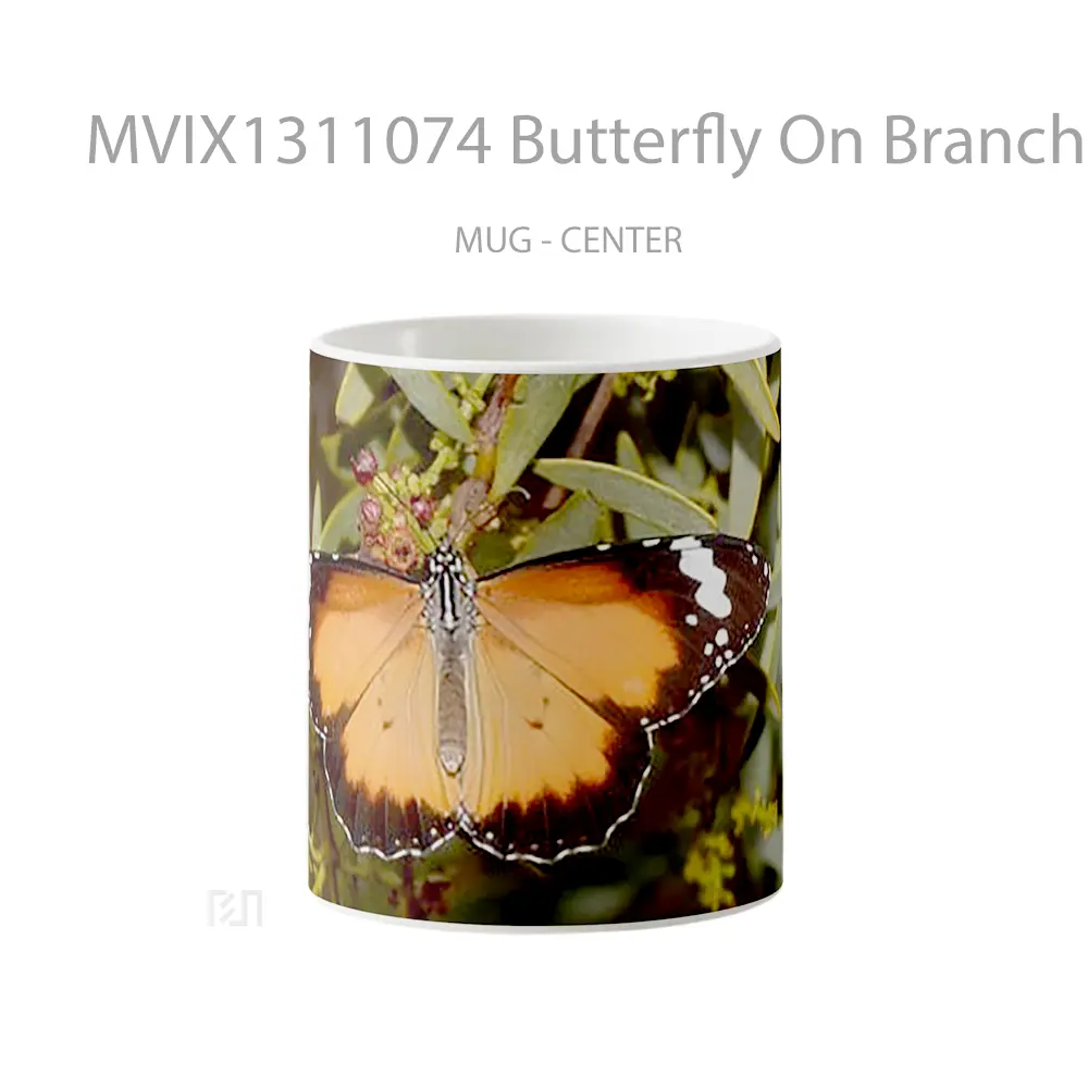 Mug Butterfly On Branches Gelas Hewan Lucu