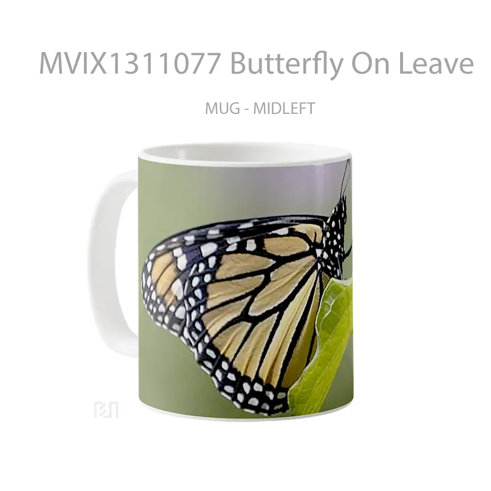 Mug Butterfly On Leave Gelas Hewan Lucu - All-side / Desain