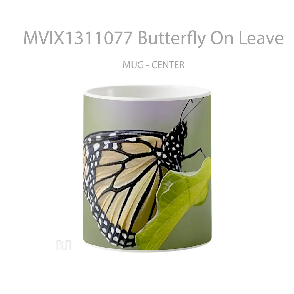 Mug Butterfly On Leave Gelas Hewan Lucu