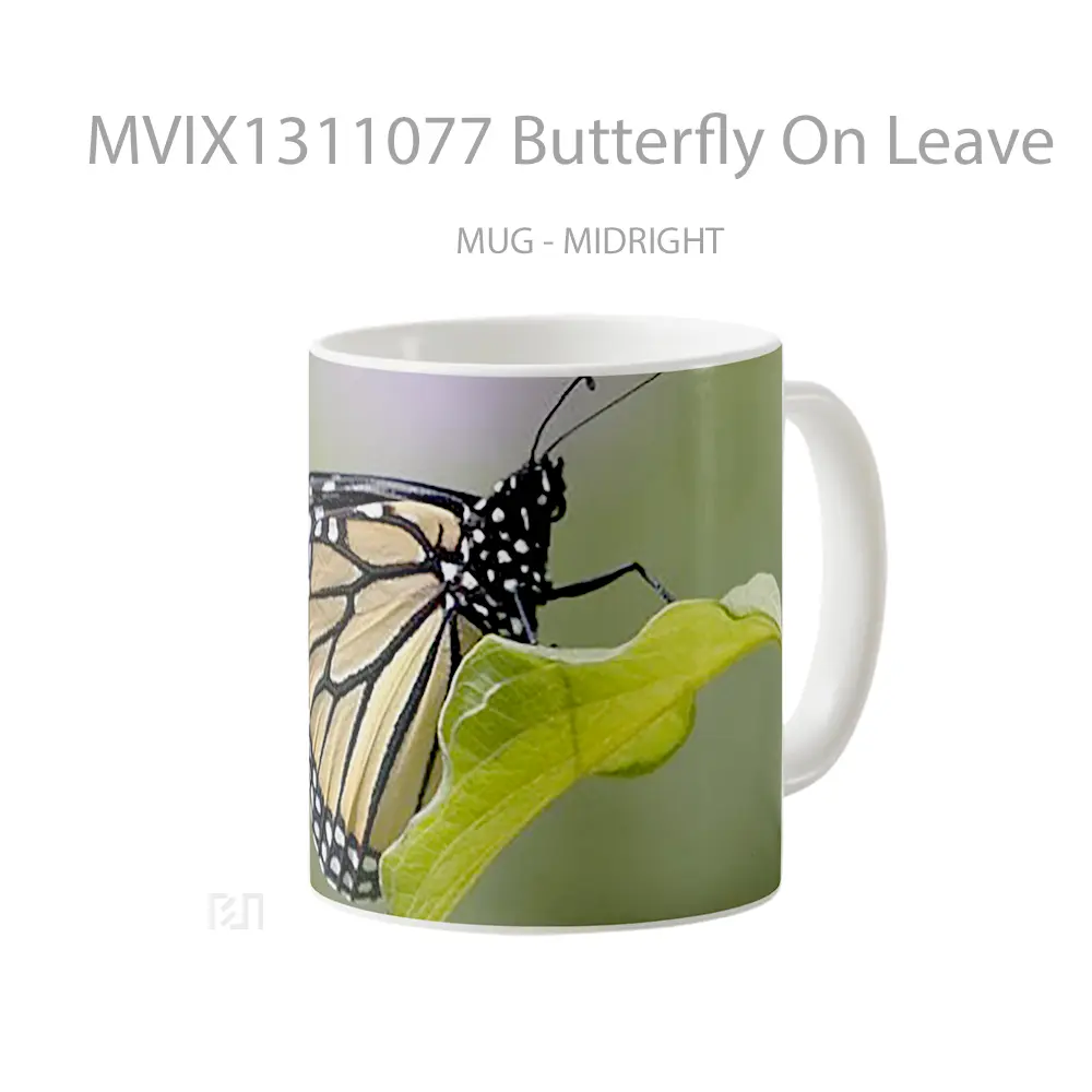 Mug Butterfly On Leave Gelas Hewan Lucu - All-side / Desain