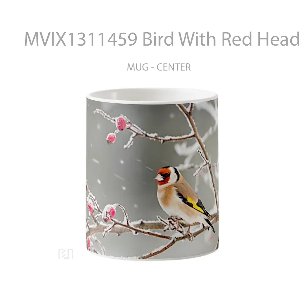 Mug Bird With Red Head In The Snow Gelas Hewan Lucu